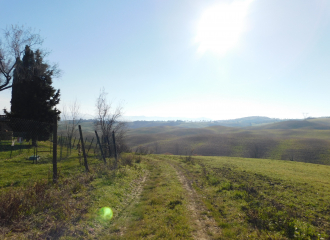 Casale in vendita a Montecatini Val di Cecina (PI) - rif. P533