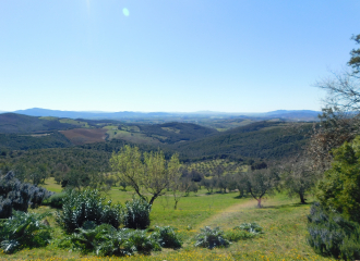 Casale in vendita a Tatti (GR) - rif. R87