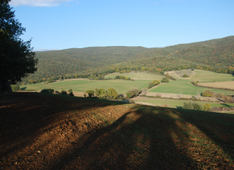 Rustico in vendita a Massa Marittima (GR) - rif. Z15