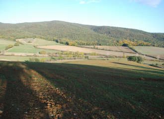 Rustico in vendita a Massa Marittima (GR) - rif. Z15