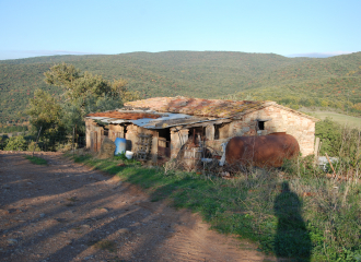 Rustico in vendita a Massa Marittima (GR) - rif. Z15