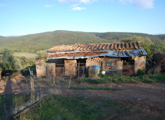 Rustico in vendita a Massa Marittima (GR) - rif. Z15