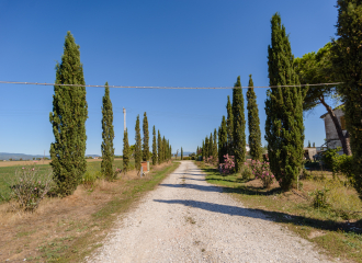 Porzione di bifamiliare in vendita a Riotorto (LI) - rif. C02