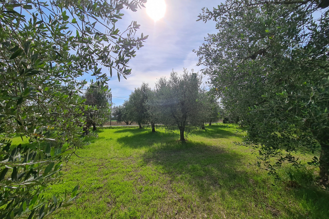 Terreno in vendita a Venturina Terme (LI) - rif. Z226