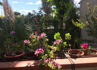 Appartamento in vendita a Follonica (GR) - rif. L63