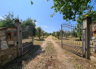 Rustico in vendita a San Vincenzo (LI) - rif. R95
