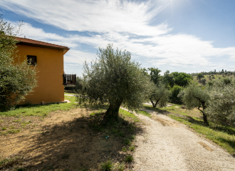 Casa indipendente in vendita a Campiglia Marittima (LI) - rif. R96