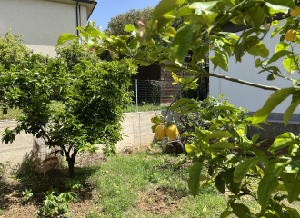 Casa indipendente in vendita a Venturina Terme (LI) - rif. A850