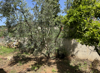 Casa indipendente in vendita a Venturina Terme (LI) - rif. A850