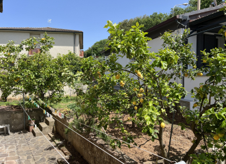 Casa indipendente in vendita a Venturina Terme (LI) - rif. A850