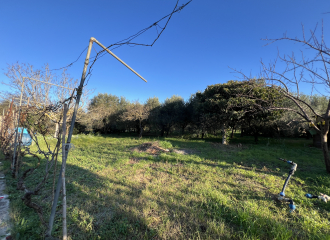 Porzione di casale in vendita a Campiglia Marittima (LI) - rif. A862