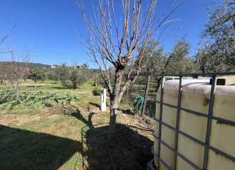 Terreno in vendita a Venturina Terme (LI) - rif. Z232