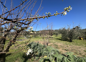 Terreno in vendita a Venturina Terme (LI) - rif. Z232