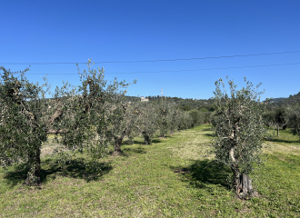 Terreno in vendita a Venturina Terme (LI) - rif. Z232