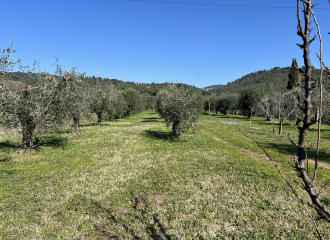 Terreno in vendita a Venturina Terme (LI) - rif. Z232
