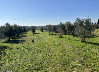 Terreno in vendita a Venturina Terme (LI) - rif. Z232