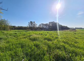 Terreno in vendita a Venturina Terme (LI) - rif. Z233