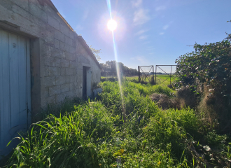 Terreno in vendita a Venturina Terme (LI) - rif. Z233