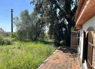 Casa indipendente in vendita a Suvereto (LI) - rif. G174