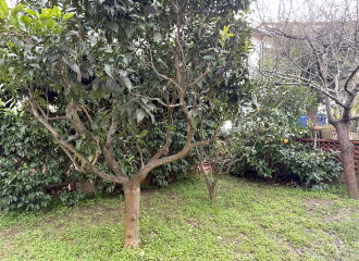 Villa a schiera in vendita a Populonia Stazione (LI) - rif. B215