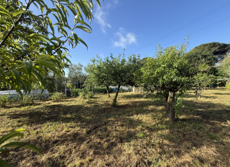 Terreno in vendita a Cafaggio (LI) - rif. Z234