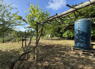 Terreno in vendita a Cafaggio (LI) - rif. Z234