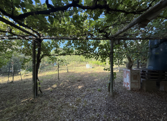 Terreno in vendita a Cafaggio (LI) - rif. Z234