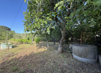 Terreno in vendita a Cafaggio (LI) - rif. Z234