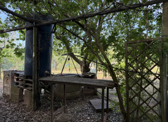 Terreno in vendita a Cafaggio (LI) - rif. Z234