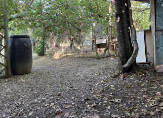 Terreno in vendita a Cafaggio (LI) - rif. Z234