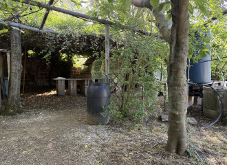 Terreno in vendita a Cafaggio (LI) - rif. Z234