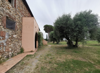 Casale in vendita a Suvereto (LI) - rif. P204