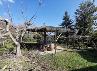 Struttura ricettiva in vendita a Sassetta (LI) - rif. P206