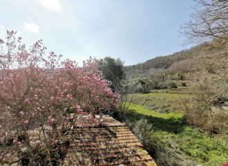 Struttura ricettiva in vendita a Sassetta (LI) - rif. P206